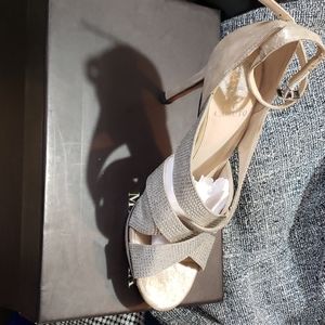 Silver Evening Shoe